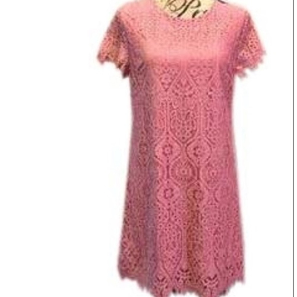 Pink Lace Short Casual Francesca’s Dress